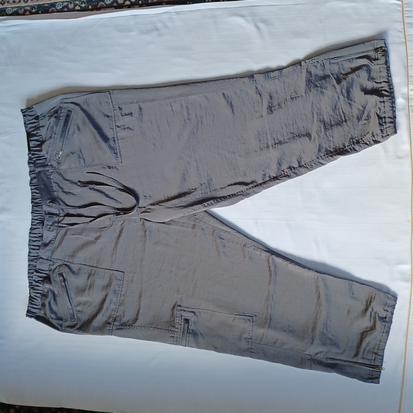 Lane Bryant "Easy Pant" Pewter Cargo Pant NWT- Sz. 28 - Picture 2 of 10